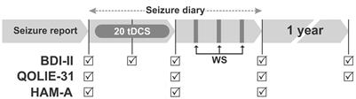 Home-Based Transcranial Direct Current Stimulation for the Treatment of Symptoms of Depression and Anxiety in Temporal Lobe Epilepsy: A Randomized, Double-Blind, Sham-Controlled Clinical Trial